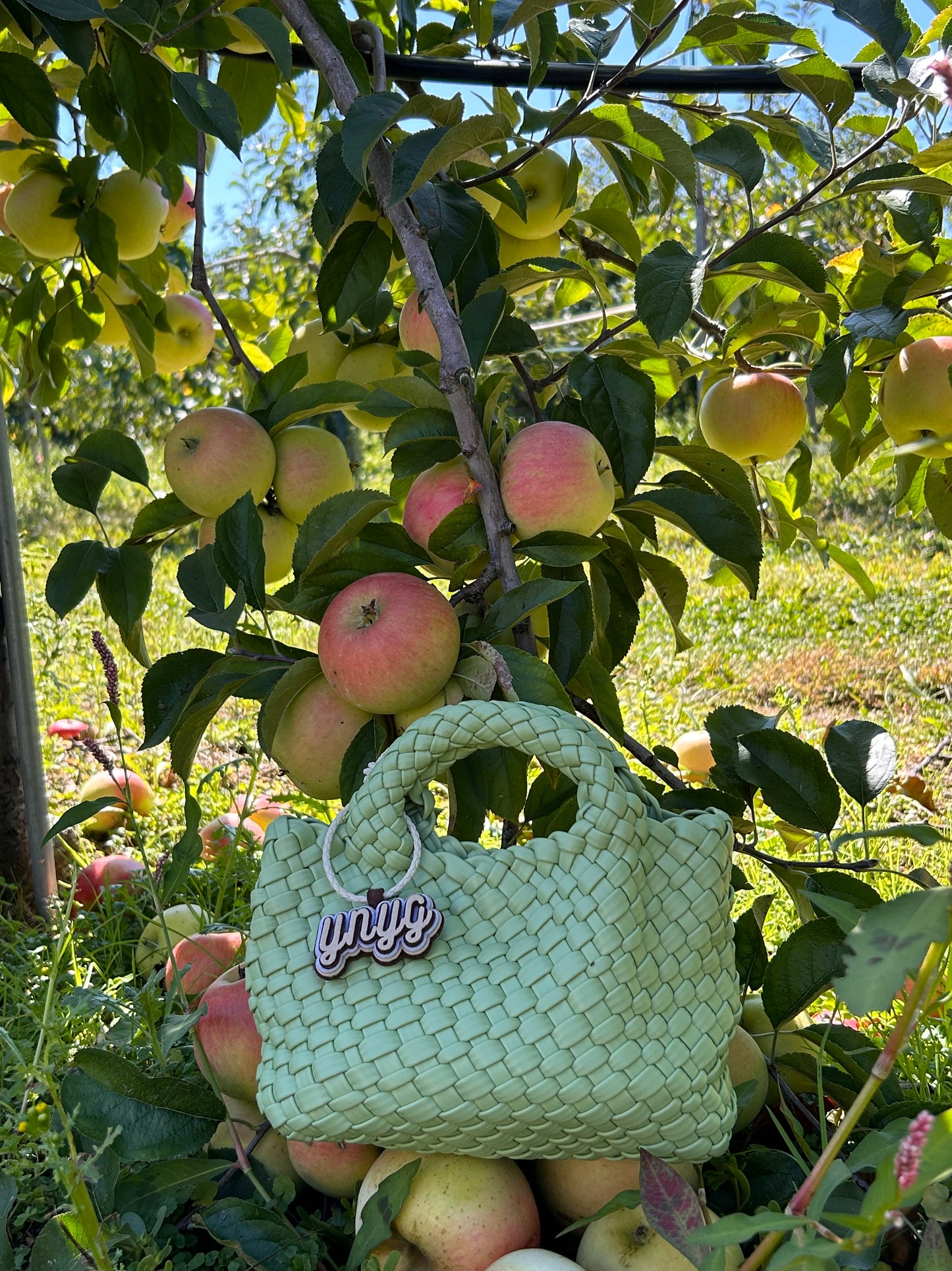 NOVEMBER SALE ONLY $29 - Calliope Collection - Hand Woven Mini Tote, Apple Green